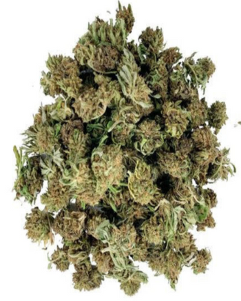 Mini Buds CBD Taboga – Flores pequeñas de cáñamo natural y aromático