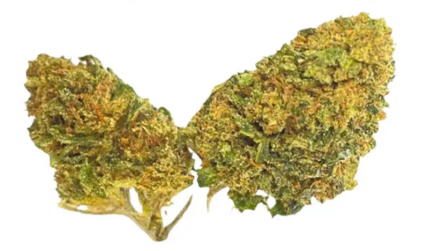 Formato 3g Flores de 8-OH Purple Haze – CBD Premium en primer plano