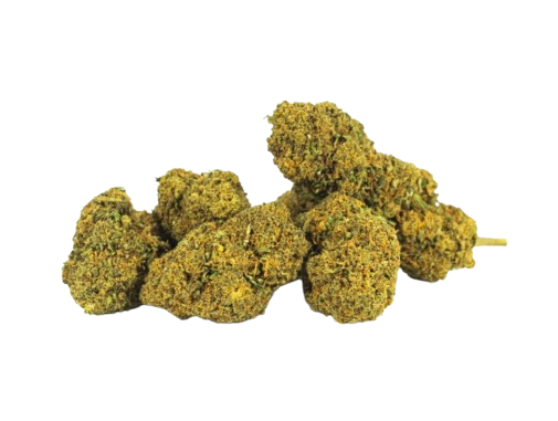 Flores de 8-OH Mango Haze 5g - CBD Premium