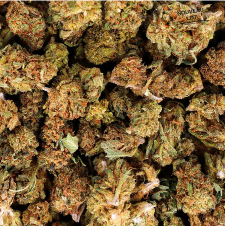 Mini Buds CBD Amnesia 10g Taboga – Flores naturales de cáñamo con aroma cítrico y herbal