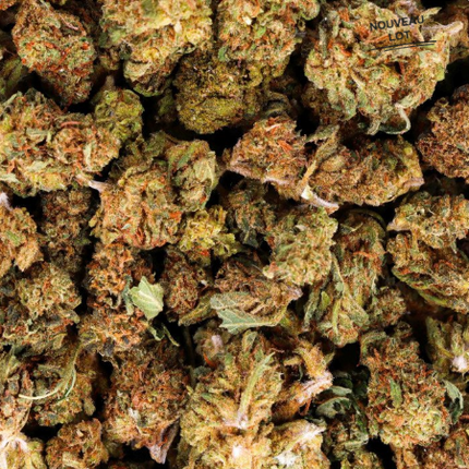 Mini Buds CBD Amnesia 5g Taboga – Flores naturales de cáñamo con aroma cítrico y herbal