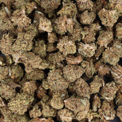 Mini Buds CBD Fanta 5g Taboga – Flores naturales de cáñamo con aroma cítrico y afrutado