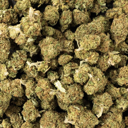 Mini Buds CBD Tutti Frutti 5g Taboga – Flores naturales de cáñamo con aroma dulce y afrutado