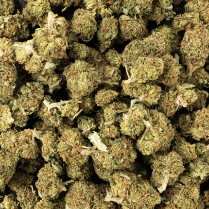 Mini Buds CBD Tutti Frutti 25g Taboga – Flores naturales de cáñamo con aroma afrutado y dulce