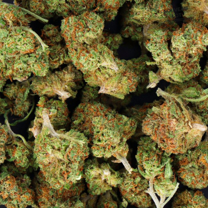 Mini Buds CBD White Widow 10g Taboga – Flores naturales de cáñamo con aroma terroso y cítrico