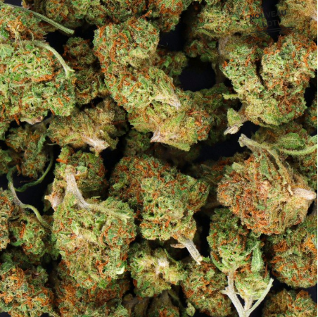 Mini Buds CBD White Widow 10g Taboga – Flores naturales de cáñamo con aroma terroso y cítrico