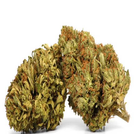 Paquete de 5g de Flores de 8-OH White Widow – detalle de la textura de los cogollos