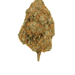 Flor OHX Lemon Haze CBD Premium 10g — cáñamo sativa curado artesanalmente, aroma cítrico intenso. Taboga CBD
